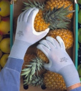 Schutzhandschuhe für die Lebensmittelindustrie