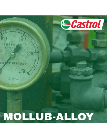 MOLLUB-ALLOY Extreme pressure lubricants