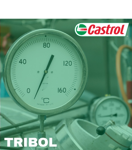 TRIBOL Temperature and long-term greases