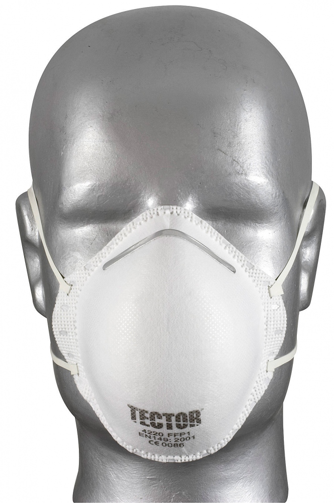 particulate matter mask