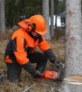 Forestry protective clothing