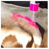 All-Weather spray-livestock-marker