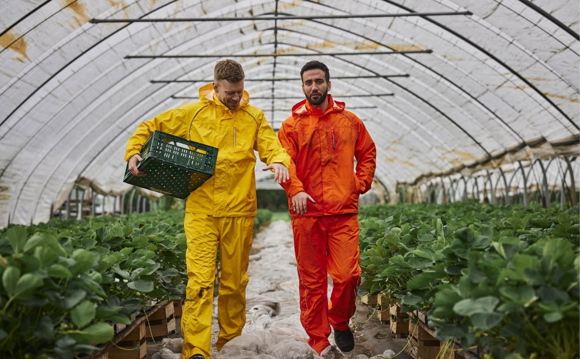 pics/Planam/1484/planam-1484monsun-regenhose-winddicht-atmungsaktiv-orange-s-5xl-application-picture.jpg