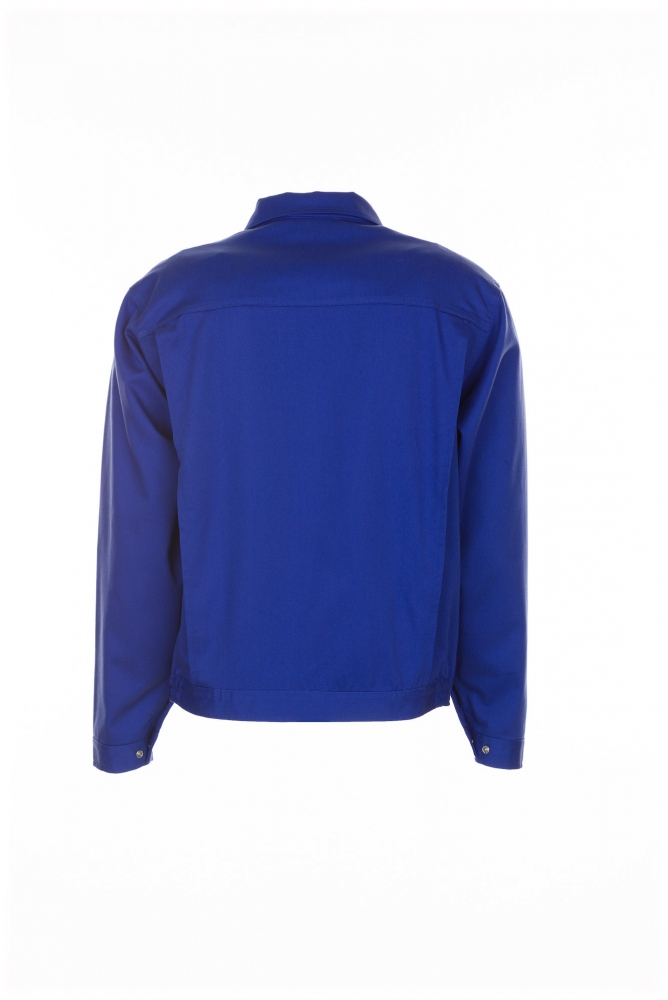 pics/Planam/1651/planam-1651-womens-waisted-jacket-royal-blue-back.jpg